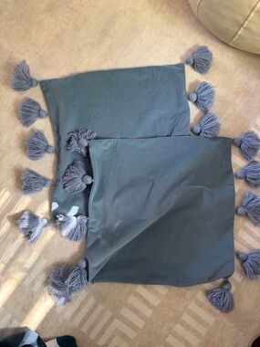 Decorative Tassel Pillow Covers in Dusty Blue (Set of 2) price firm